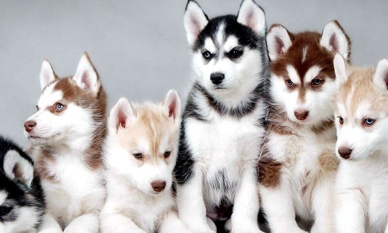 sit-odit-architecto-consectetur-voluptates-possimus-rem