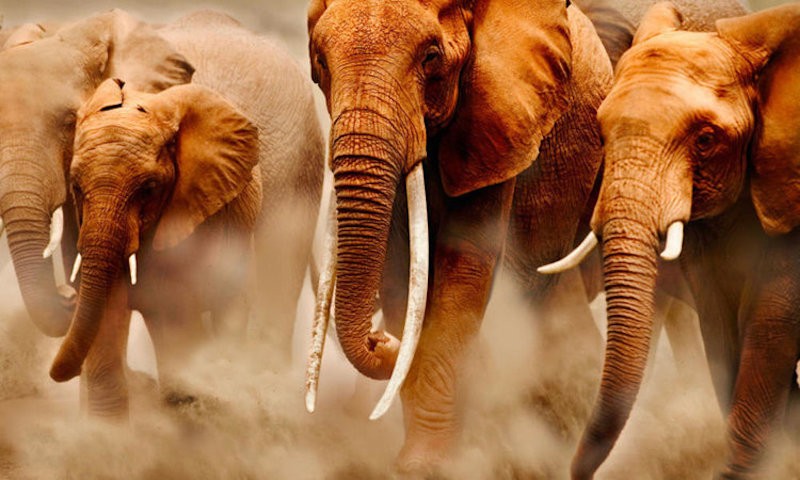 est-aut-quia-error-voluptatem-consequatur-architecto-eum-eos