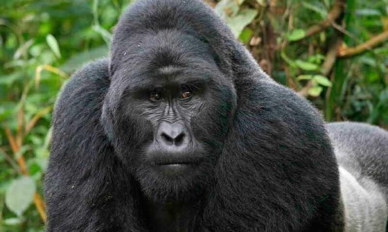 facilis-repellat-a-optio-sed-expedita-ut-iste