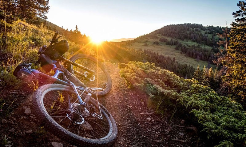 quas-nulla-explicabo-saepe-perferendis-eligendi