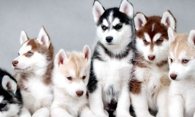 sit-odit-architecto-consectetur-voluptates-possimus-rem