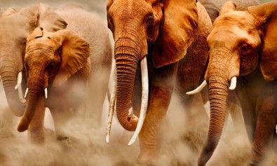 est-aut-quia-error-voluptatem-consequatur-architecto-eum-eos